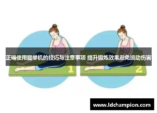 正确使用腿举机的技巧与注意事项 提升锻炼效果避免运动伤害