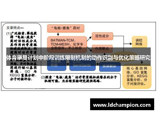 体育康复计划中阶段训练限制机制的动作识别与优化策略研究