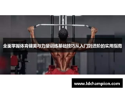 全面掌握体育健美与力量训练基础技巧从入门到进阶的实用指南